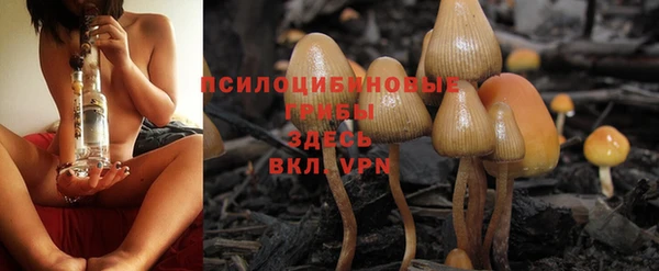 экстази Алексеевка