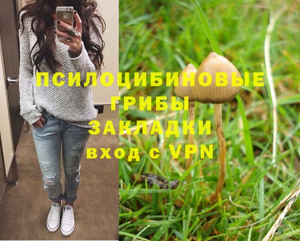 героин Алзамай