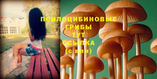 героин Алзамай